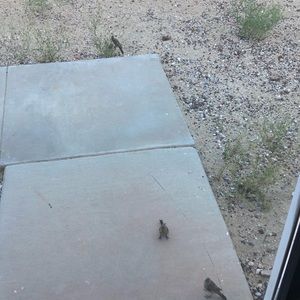 Meet your Posher, Nicolas